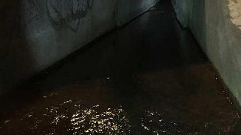 Fall 2015 - ChedokeWestdale-Sewer21.jpg