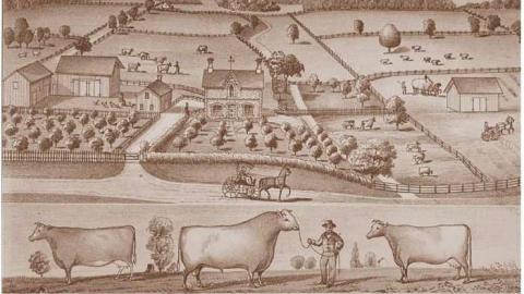 Bonny Bank - Bonny-Bank11.jpg