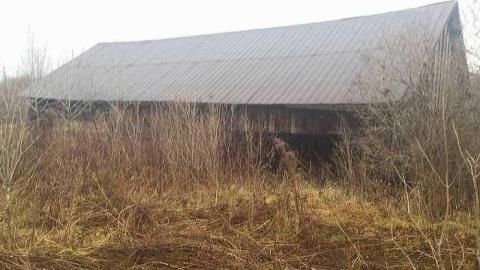 Home - 12391169_933739833328009_7141593968186773354_n.jpg