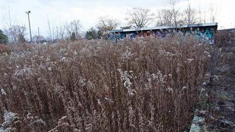  Dec 2015 - Wet-And-Wild-Waterpark159.jpg