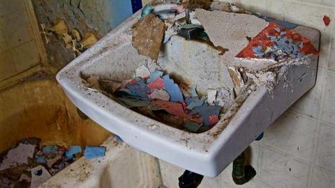 Photo from Drooling in December 