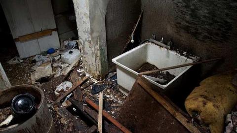 Photo from Drooling in December 