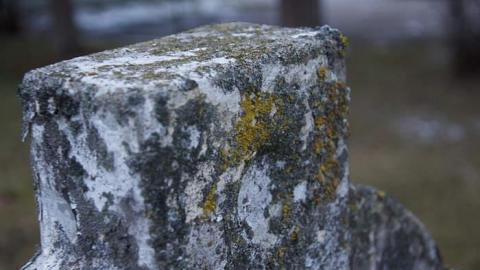 Photo from Forgotten Souls 