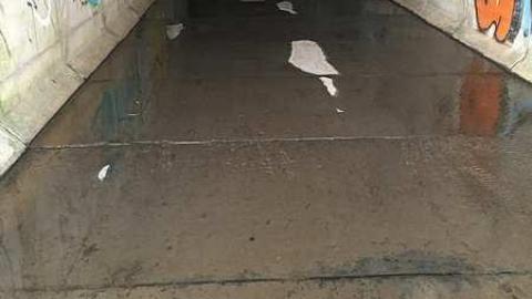 Mapleview Rain Conduit photo 5