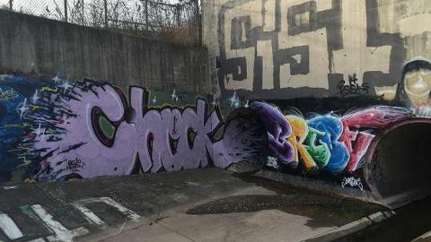 2014 - Mapleview-Rain-Conduit6.jpg