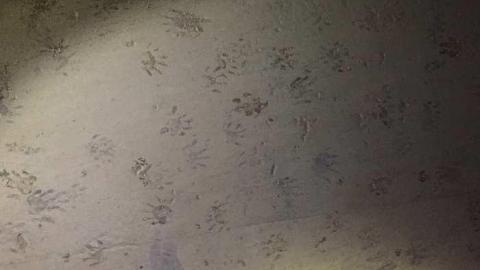 2014 - Mapleview-Rain-Conduit9.jpg