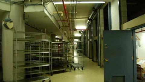 Out and About - Lemieux-Island31.jpg