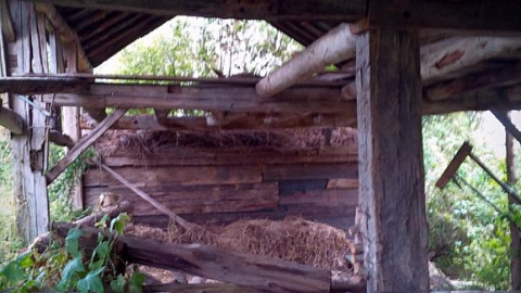 Last Visit - Very-Werry-Estate37.png