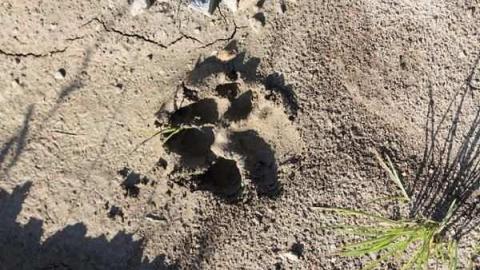 Cashel Cemetery - Cashel-Cemetery7.jpg