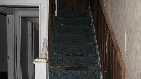 Photo from Reverse Engineering