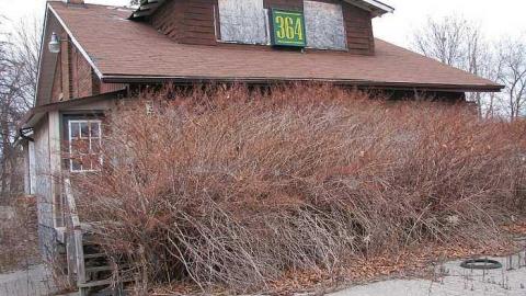 Reverse Engineering - 23.jpg