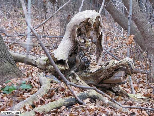 Simcoe Engineering photo 2