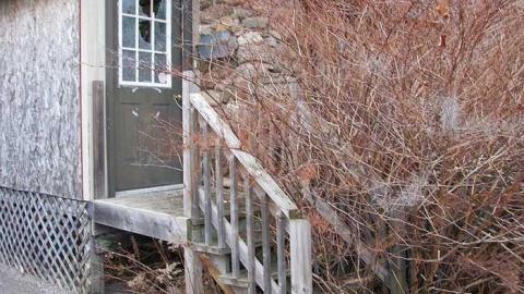 Photo from Reverse Engineering