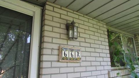 Stachybotrys - Toxic20.jpg