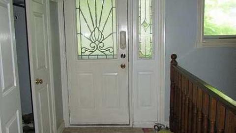 Stachybotrys - Toxic2.jpg