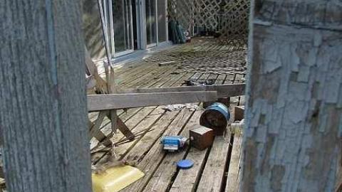 Stachybotrys - Toxic3.jpg