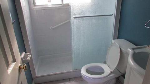 Stachybotrys - Toxic23.jpg