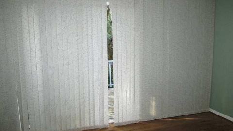 Stachybotrys - Toxic7.jpg