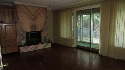 Stachybotrys - Toxic10.jpg