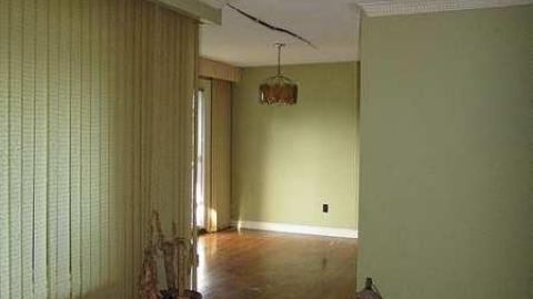 Stachybotrys - Toxic13.jpg