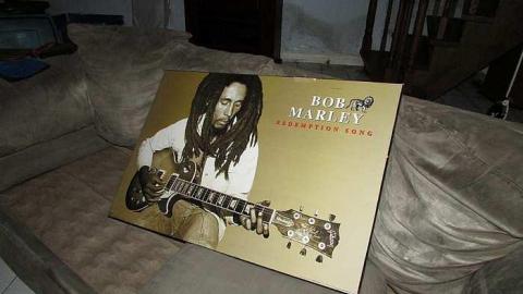 Stachybotrys - Toxic16.jpg