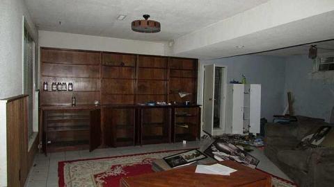 Stachybotrys - Toxic24.jpg