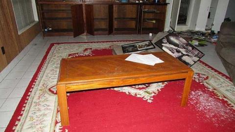 Stachybotrys - Toxic18.jpg