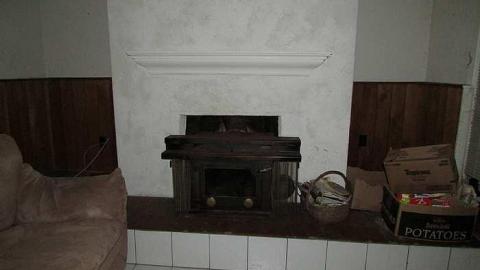 Stachybotrys - Toxic19.jpg