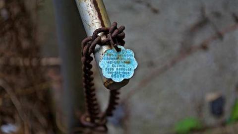 Complete Darkness  - thumb_DSC_2384_1024.jpg