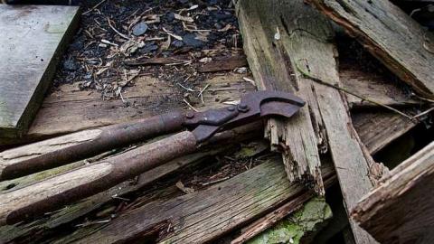 Photo from Complete Darkness 