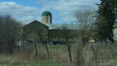 Holliday Farmstead - IMG_4360.jpg