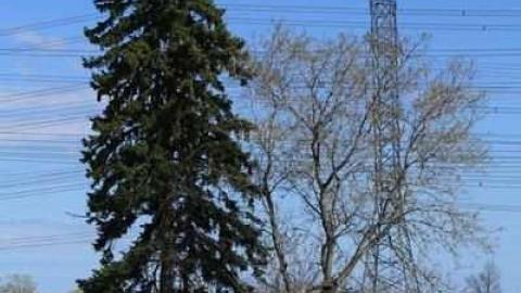 Holliday Farmstead - IMG_4365.jpg