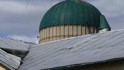 Holliday Farm photo 5