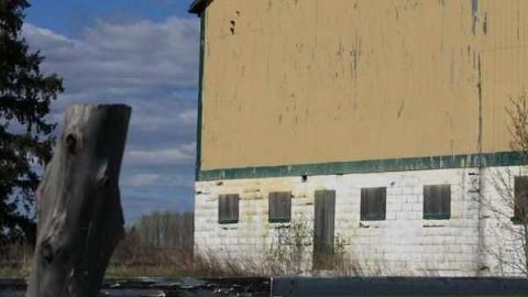 Holliday Farm photo 3