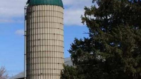 Holliday Farm photo 4