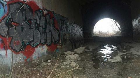 Winter 2015 cover photo