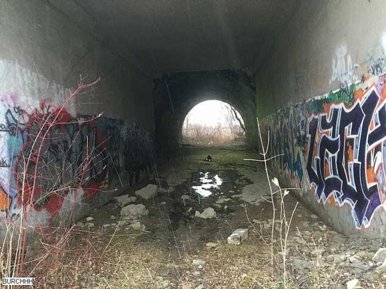 Winter 2015 - zoIMG_8243.jpg