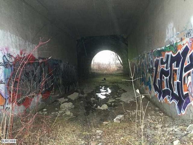 Winter 2015 - zoIMG_8243.jpg