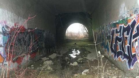 Winter 2015 - zoIMG_8243.jpg