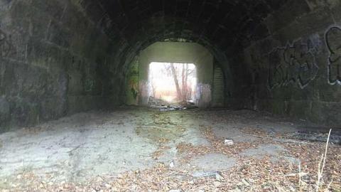 Winter 2015 - xsIMG_8248.jpg