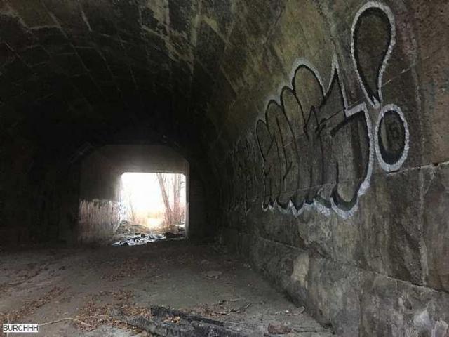 Winter 2015 - lhIMG_8254.jpg