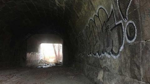 Winter 2015 - lhIMG_8254.jpg