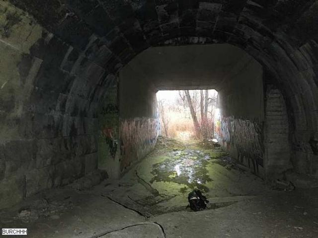 Winter 2015 - jwIMG_8255.jpg