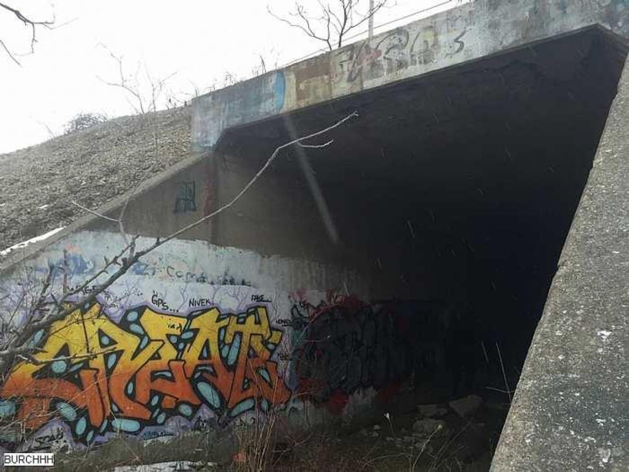 Winter 2015 - gcIMG_8285.jpg