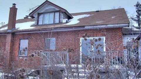 The Revenant - 2.jpg