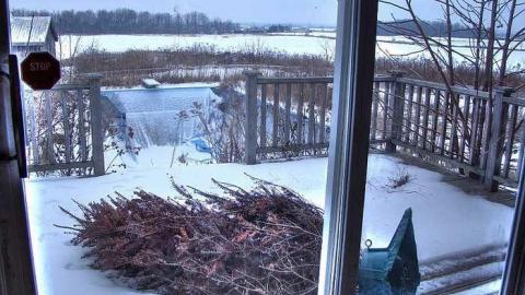 The Remenant photo 4