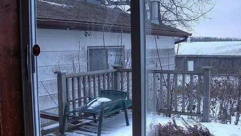 The Revenant - 9.jpg