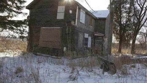 Photo from Abandoned Farm 2