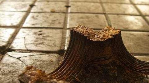 RMS Machinery 2011 - RMS-Machinery10.jpg