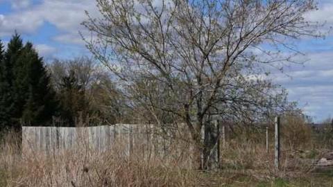 Hoar House - Hoar-House2.jpg